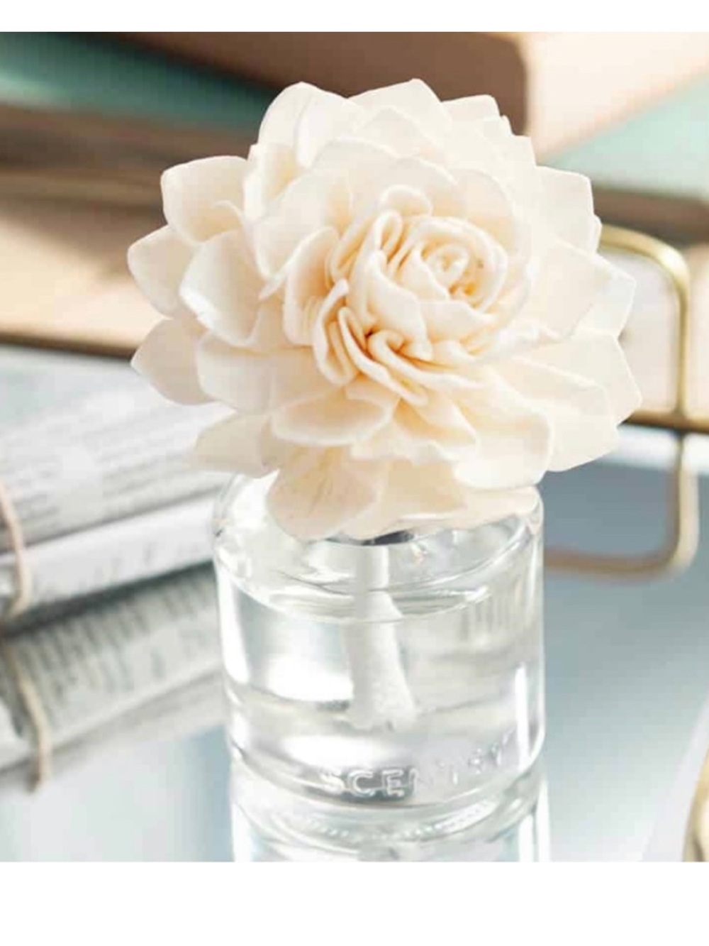 Scentsy Cream Flower Diffuser Bottle
Coastal Sunset